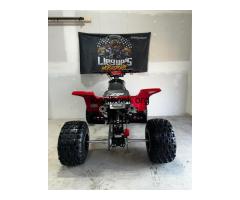 Buy Banshee And Electric Motorcycles Online - 2
