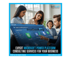 Expert Microsoft Power Platform Consulting Services for Your Business