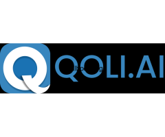 Qoli.Ai Mobile Monitoring Software - 2