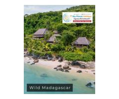 Discover the Wild Beauty of Madagascar with Sky Planet Holidays