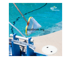 Need Pool Repairs or Cleaning in Henderson? - 2