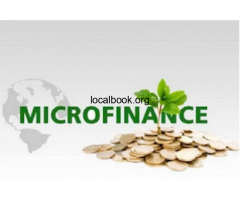 Fraud risk assessment in Microfinance