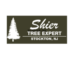 Shier Tree Expert