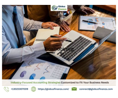 Industry-Focused Accounting Strategies