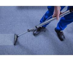 Professional Carpet Cleaning Services in Edmonds Area