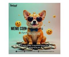 Best Platforms to Launch Your Meme Coin in 2025 - Beleaf Technologies