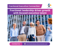 Fractional leadership: business success through expert strategy