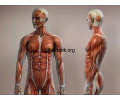 Accredited Musculoskeletal Sonography course in Queens