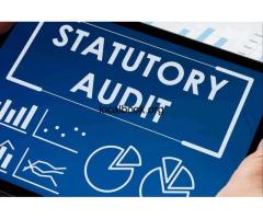Statutory Audit in India by Pk Chopra & Co.