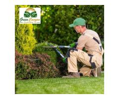 Professional Planting Services for a Greener Landscape