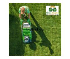 Trusted Tree & Bush Trimming to Shape Your Garden