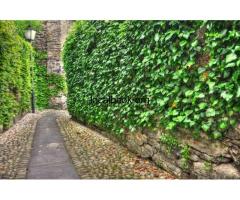 Durable & Stylish Retaining Walls for Your Landscape