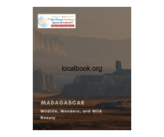 Madagascar Tour Packages – A Journey into Nature’s Wonderland