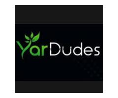 Affordable Grass Cutting Service Near You | Lawn Care Experts
