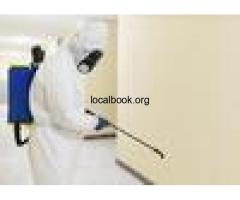 Say Goodbye to Bed Bugs with Expert Exterminators in Pearland